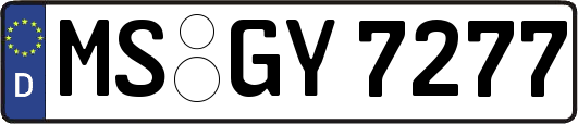 MS-GY7277