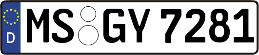 MS-GY7281