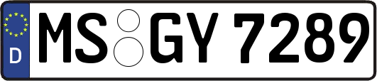 MS-GY7289