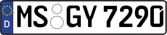 MS-GY7290