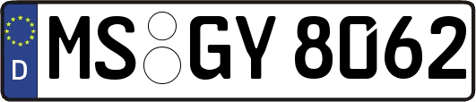 MS-GY8062