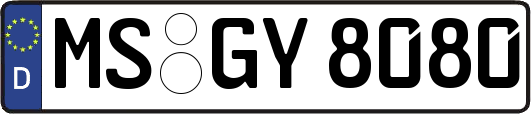 MS-GY8080