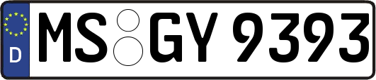 MS-GY9393