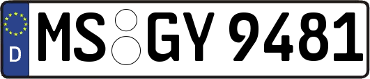 MS-GY9481