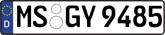 MS-GY9485
