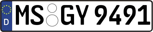 MS-GY9491