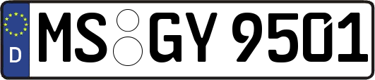 MS-GY9501