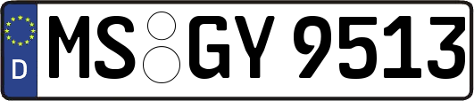 MS-GY9513