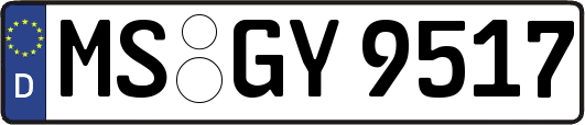 MS-GY9517