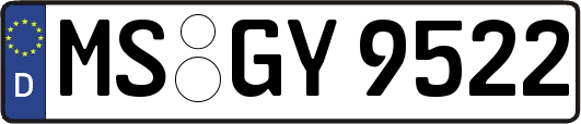 MS-GY9522
