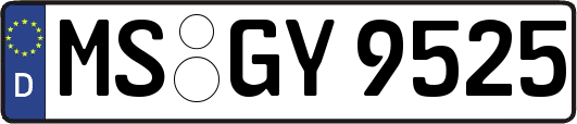 MS-GY9525
