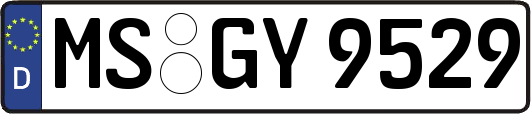 MS-GY9529