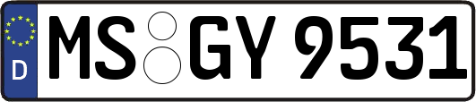MS-GY9531