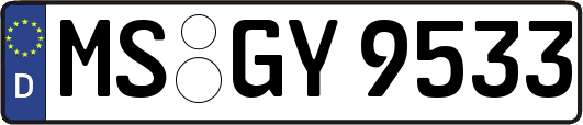 MS-GY9533