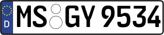 MS-GY9534