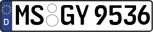 MS-GY9536