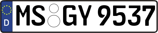 MS-GY9537