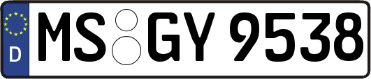 MS-GY9538
