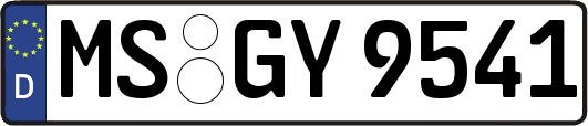 MS-GY9541
