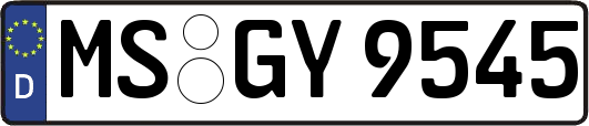 MS-GY9545