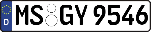 MS-GY9546