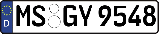 MS-GY9548