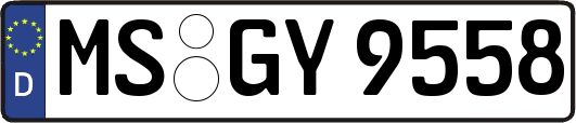 MS-GY9558