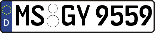 MS-GY9559