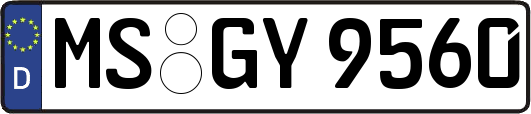 MS-GY9560