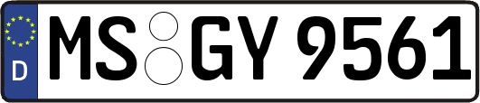 MS-GY9561