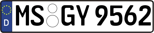 MS-GY9562