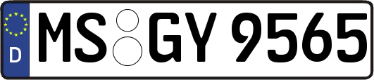 MS-GY9565
