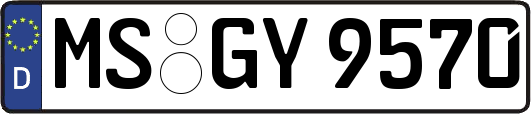 MS-GY9570