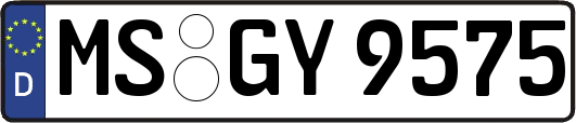 MS-GY9575