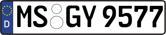 MS-GY9577