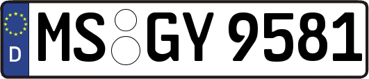 MS-GY9581
