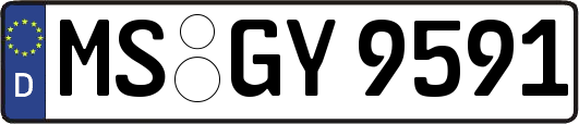MS-GY9591