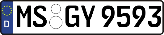 MS-GY9593