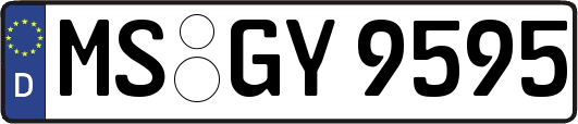 MS-GY9595