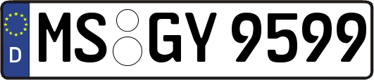 MS-GY9599