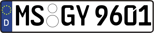 MS-GY9601