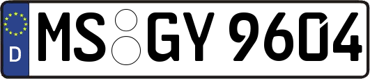 MS-GY9604