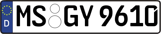 MS-GY9610