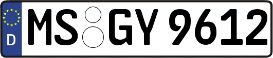 MS-GY9612