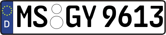 MS-GY9613