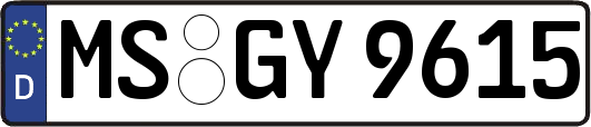 MS-GY9615
