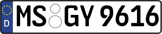 MS-GY9616