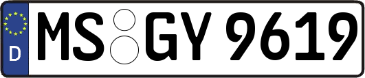 MS-GY9619