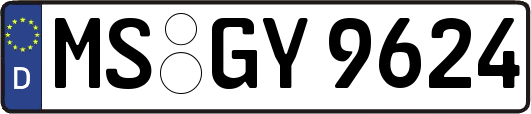 MS-GY9624