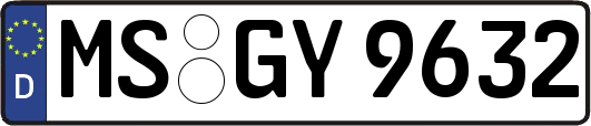 MS-GY9632